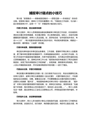 捕捉审计疑点的小技巧