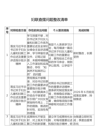 妇联查摆问题整改清单
