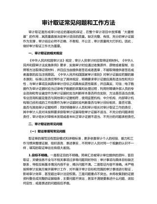 审计取证常见问题和工作方法