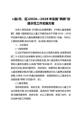 X县(市、区)2026—2028年实施“两纲”创建示范工作实施方案