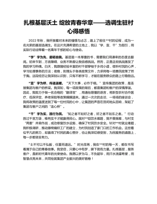 扎根基层沃土 绽放青春华章——选调生驻村心得感悟