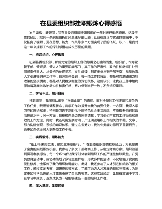 在县委组织部挂职锻炼心得感悟