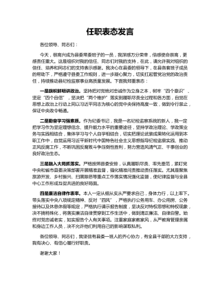 任职表态发言142811