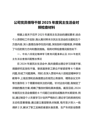 公司党员领导干部2025年度民主生活会对照检查材料