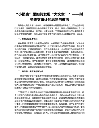 “小报表”里如何发现“大文章”？——财务收支审计的思路与做法