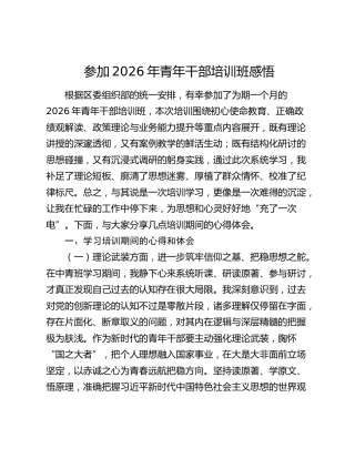 参加2026年青年干部培训班感悟