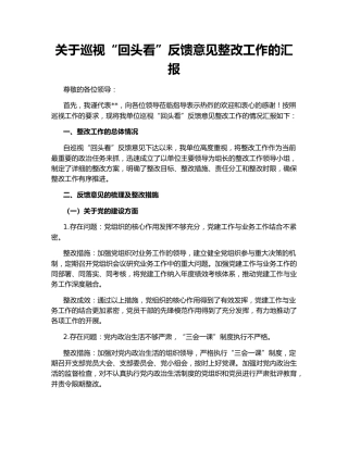 关于巡视“回头看”反馈意见整改工作的汇报
