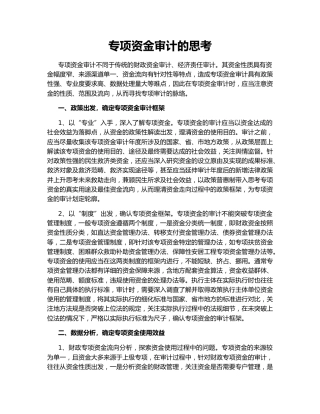 专项资金审计的思考