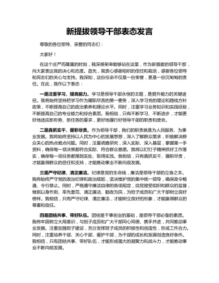 新提拔领导干部表态发言