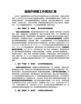 县医疗保障工作情况汇报