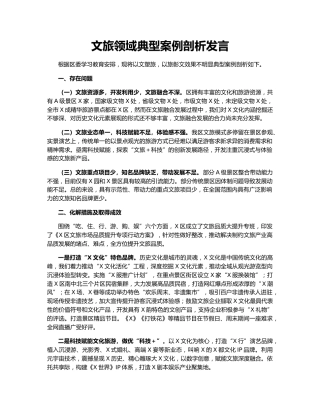 文旅领域典型案例剖析发言