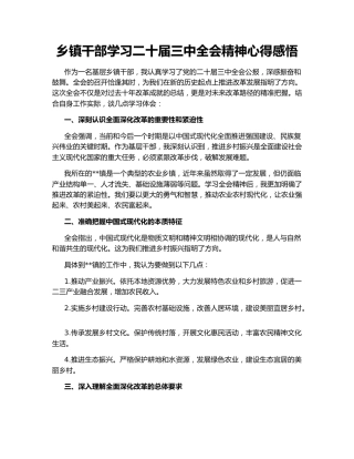 乡镇干部学习二十届三中全会精神心得感悟144841