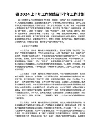 镇2024上半年工作总结及下半年工作计划