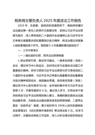 税务局主要负责人2025年度述法工作报告
