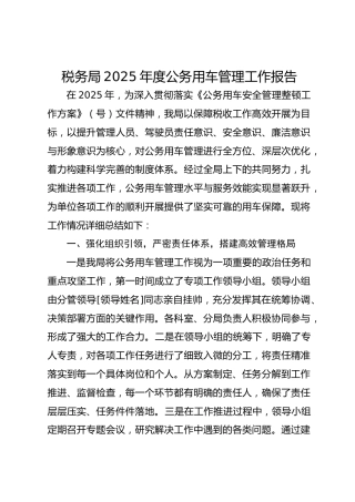 税务局2025年度公务用车管理工作报告