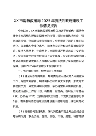 市消防救援局2025年度法治政府建设工作情况报告