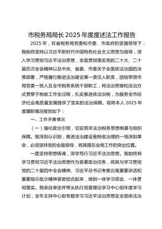 市税务局局长2025年度度述法工作报告