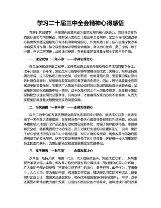 学习二十届三中全会精神心得感悟145082