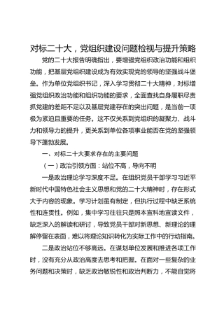 对标二十大，党组织建设问题检视与提升策略