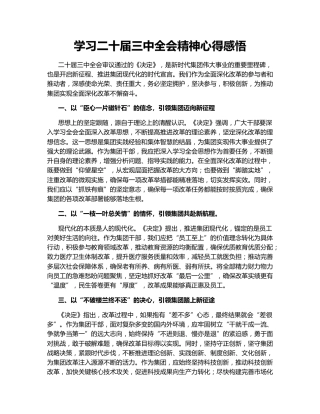 学习二十届三中全会精神心得感悟145330