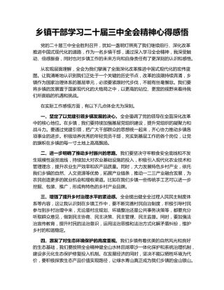 乡镇干部学习二十届三中全会精神心得感悟