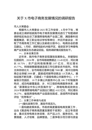 关于X市电子商务发展情况的调研报告