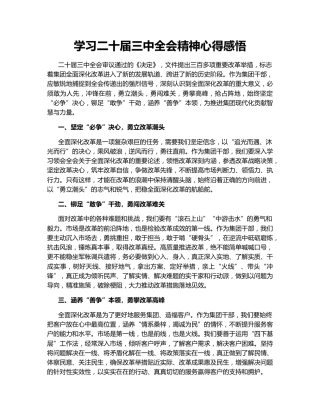 学习二十届三中全会精神心得感悟146364