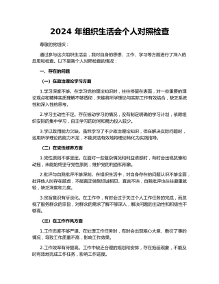 2024 年组织生活会个人对照检查
