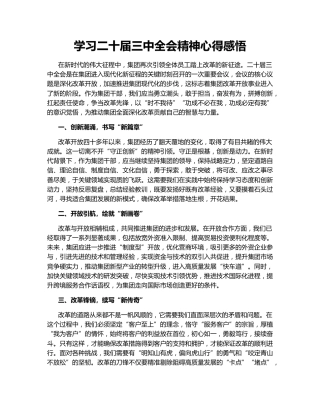 学习二十届三中全会精神心得感悟146677