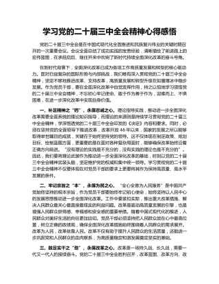 学习党的二十届三中全会精神心得感悟147094