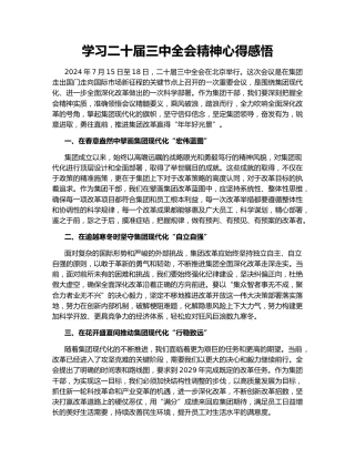 学习二十届三中全会精神心得感悟147376