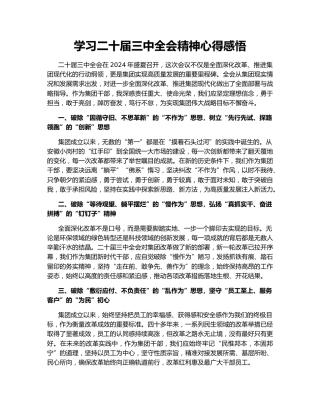 学习二十届三中全会精神心得感悟147932