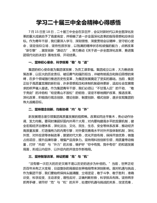 学习二十届三中全会精神心得感悟148264