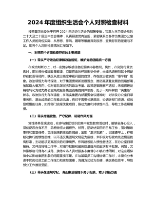 2024年度组织生活会个人对照检查材料166906