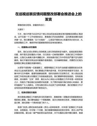 在巡视巡察反馈问题整改部署会推进会上的发言