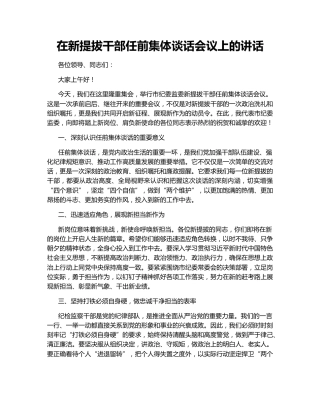 在新提拔干部任前集体谈话会议上的讲话