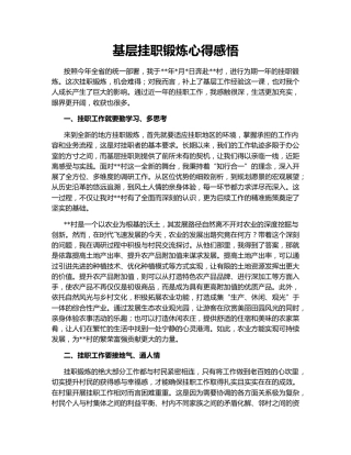 基层挂职锻炼心得感悟
