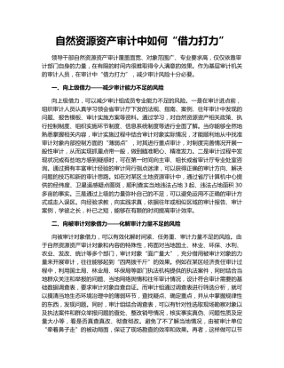 自然资源资产审计中如何“借力打力”