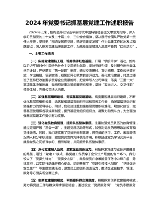 2024年党委书记抓基层党建工作述职报告152656