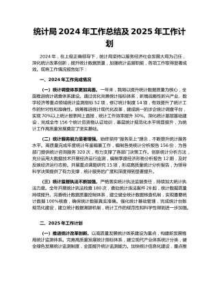 统计局2024年工作总结及2025年工作计划157106