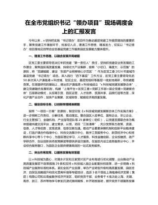 在全市党组织书记“领办项目”现场调度会上的汇报发言