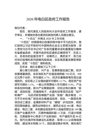 2026年电白区政府工作报告