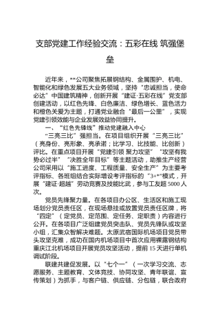 支部党建工作经验交流：五彩在线筑强堡垒