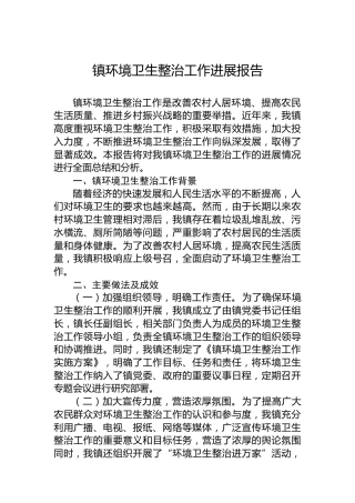 镇环境卫生整治工作进展报告