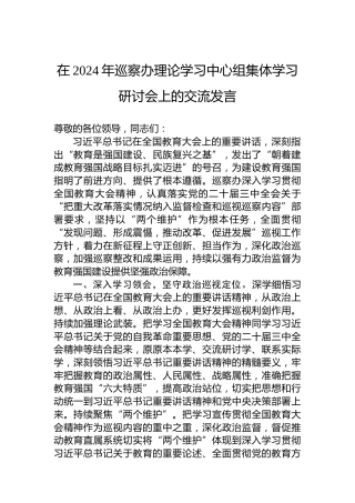 在2024年巡察办理论学习中心组集体学习研讨会上的交流发言