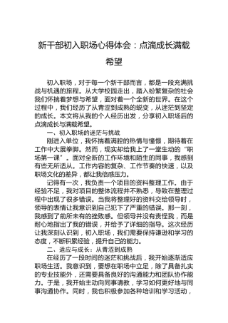 新干部初入职场心得体会：点滴成长满载希望