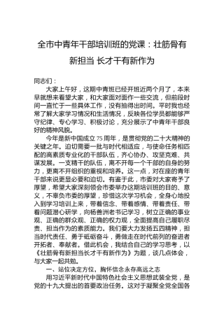 全市中青年干部培训班的党课：壮筋骨有新担当长才干有新作为
