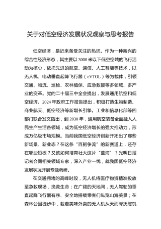 关于对低空经济发展状况观察与思考报告