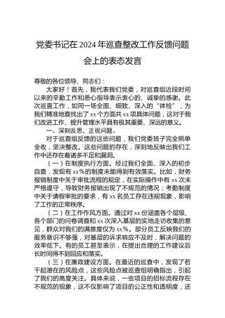 党委书记在2024年巡查整改工作反馈问题会上的表态发言