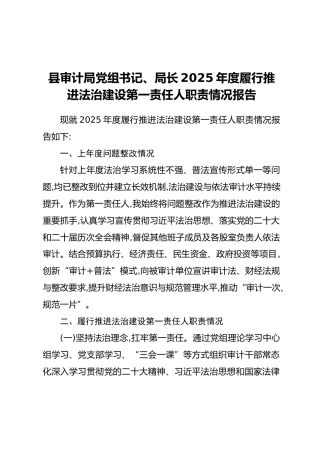 县审计局党组书记、局长2025年度履行推进法治建设第一责任人职责情况报告